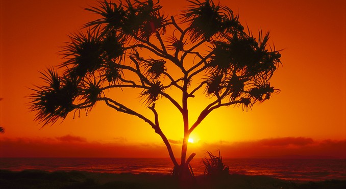 Image courtesy of Tourism Queensland