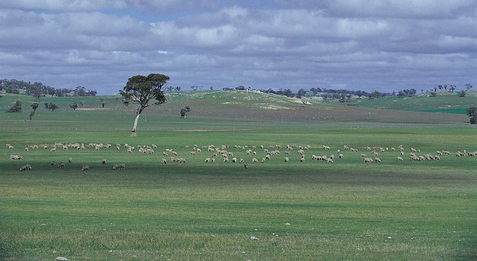 Image courtesy of Western Australia