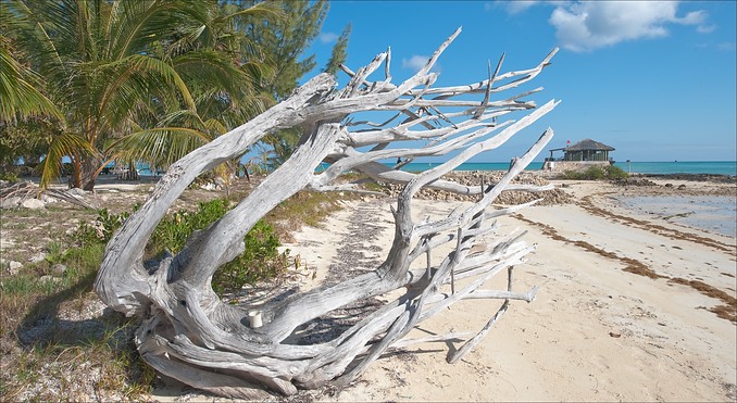 Image courtesy of Bahamas Tourist Office