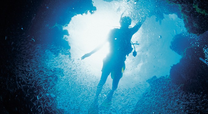Image courtesy of Bahamas Tourist Office