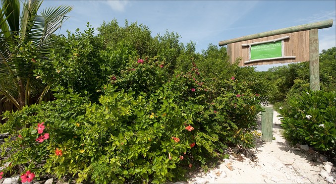 Bimini Nature Trail