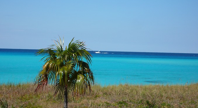 Bimini Nature Trail