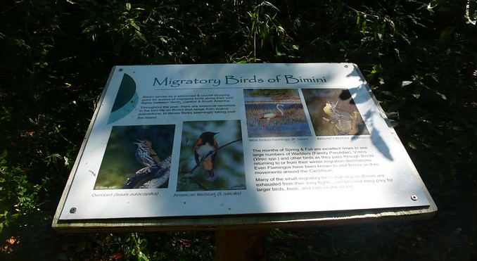 Bimini Nature Trail
