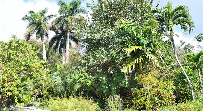 Garden of the Groves