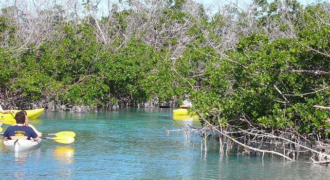 Image courtesy of Bahamas Tourist Office