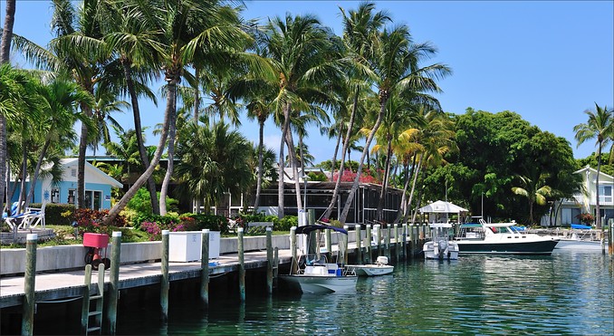 The Abacos