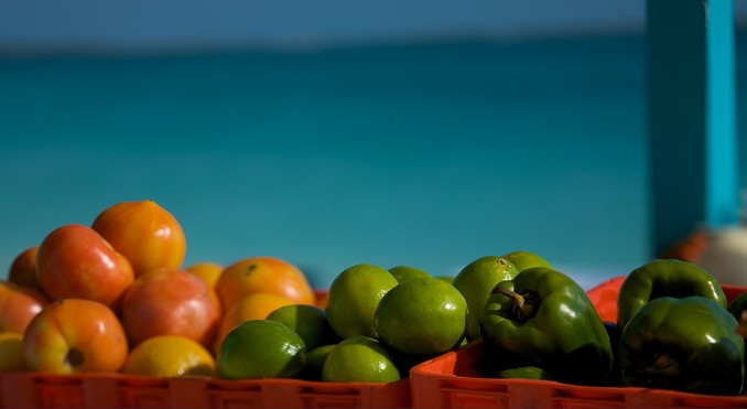 Image courtesy of Bahamas Tourist Office