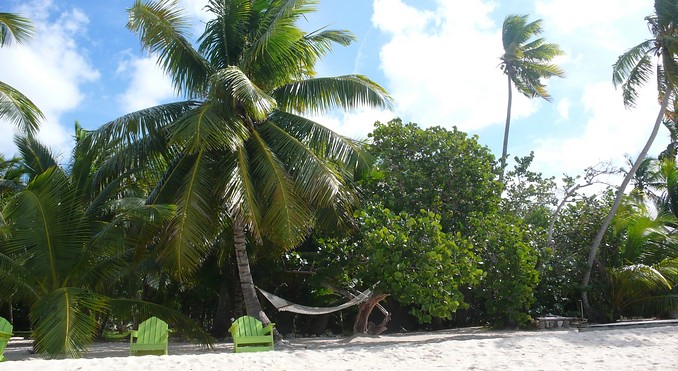 Image courtesy of Bahamas Tourist Office