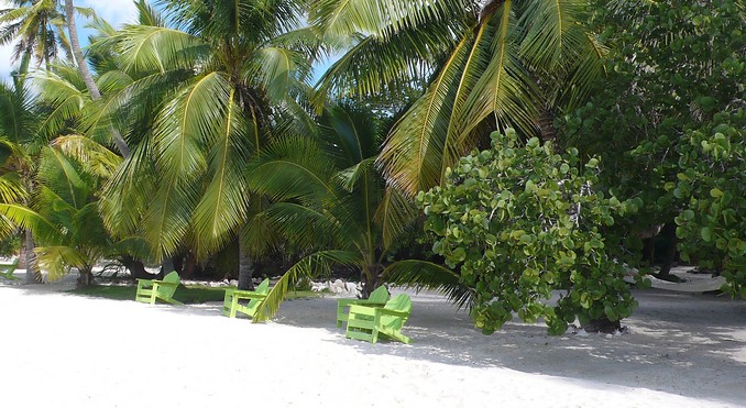 Image courtesy of Bahamas Tourist Office