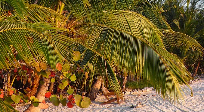 Image courtesy of Bahamas Tourist Office