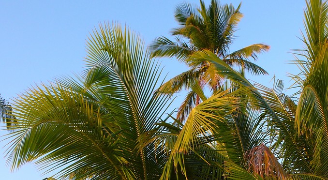 Image courtesy of Bahamas Tourist Office