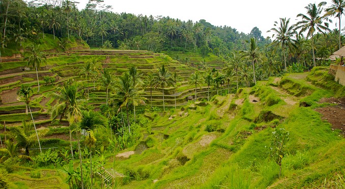 Image courtesy of Tourism Media