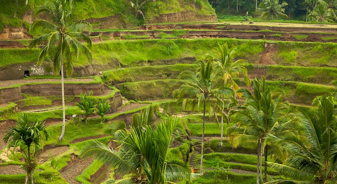 Image courtesy of Tourism Media