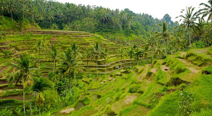 Image courtesy of Tourism Media