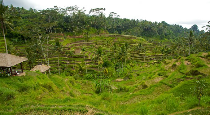 Image courtesy of Tourism Media