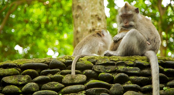 Image courtesy of Tourism Media