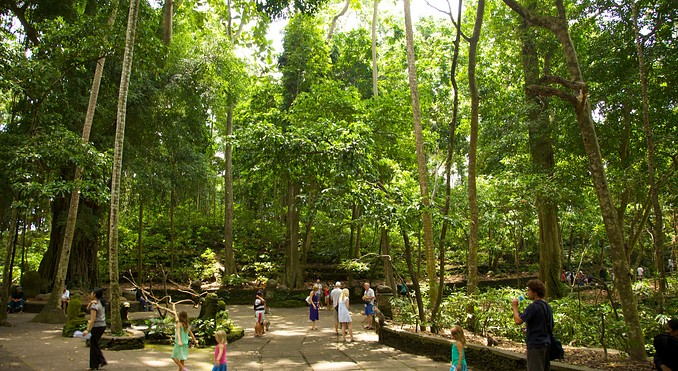 Image courtesy of Tourism Media