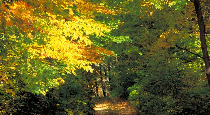 Image courtesy of Ontario Tourism Marketing Partnership and Sander