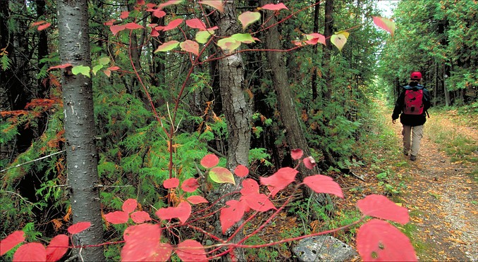 Image courtesy of Ontario Tourism Marketing Partnership and Sander
