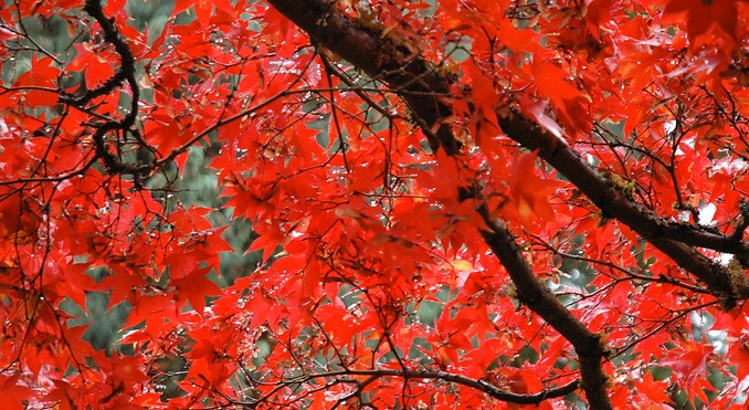 Image courtesy of Canadian Tourism Commission
