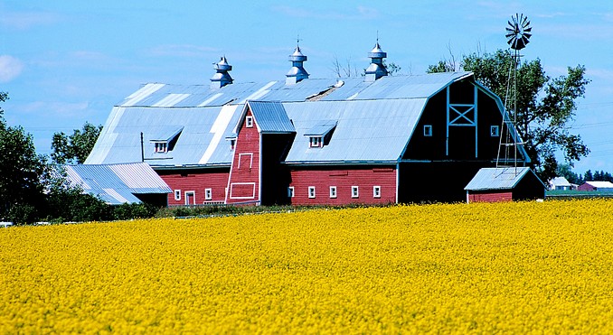 Image courtesy of Tourism Calgary
