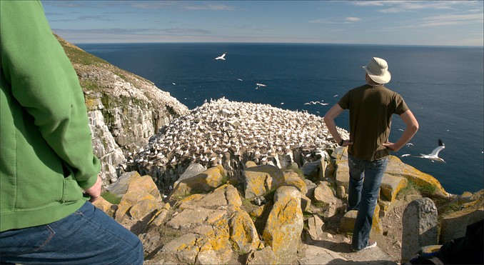 Image courtesy of Peter Helm
