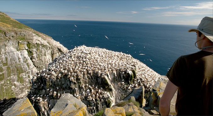 Image courtesy of Peter Helm