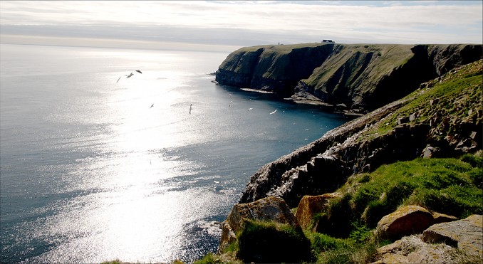 Cape St. Mary's