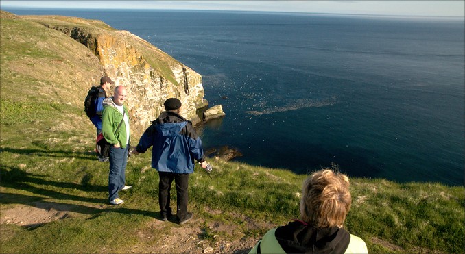 Image courtesy of Peter Helm