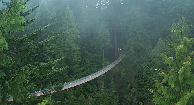 Image courtesy of Tourism Vancouver