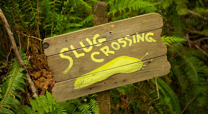 Image courtesy of Tourism Media