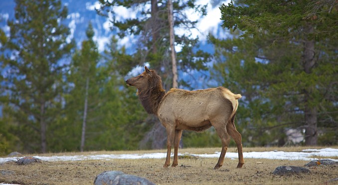Image courtesy of Tourism Media