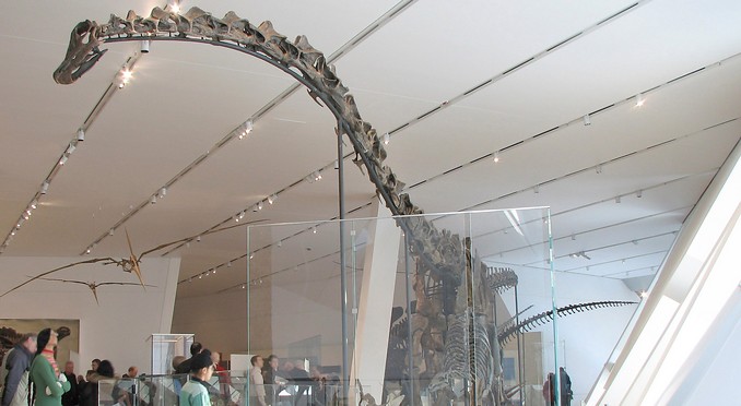 Image courtesy of Tourism Toronto