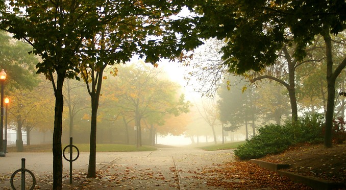 Image courtesy of Tourism Toronto