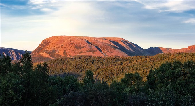 Image courtesy of Newfoundland and Labrador Tourism / Barrett and MacKay