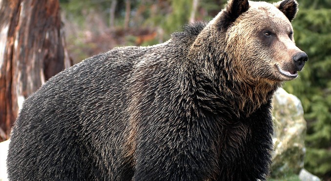 Image courtesy of Tourism BC/Tom Ryan