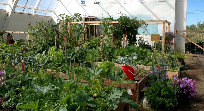 Image courtesy of Terry Parker / NWTT