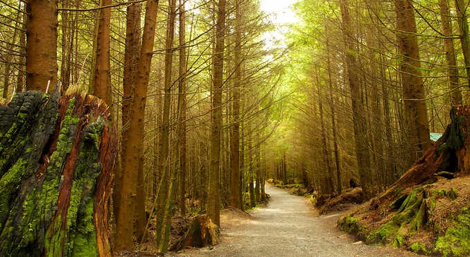 Image courtesy of Tourism Media