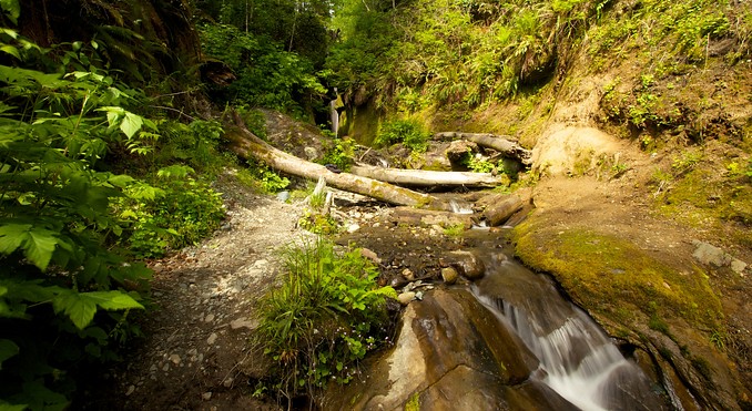 Image courtesy of Tourism Media