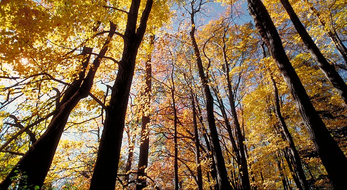 Image courtesy of Ontario Tourism Marketing Partnership and Ehricht