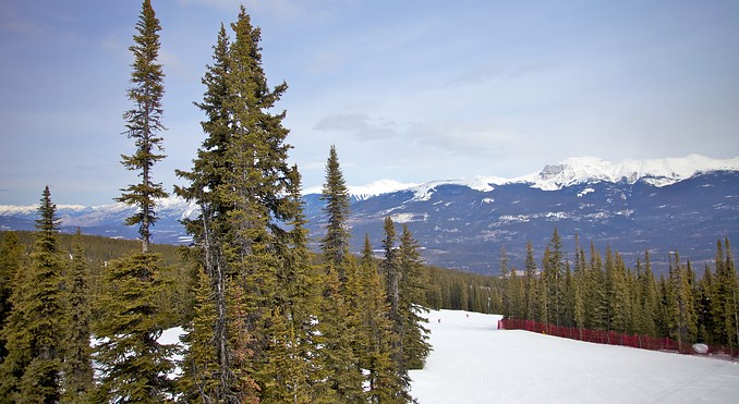 Marmot Basin