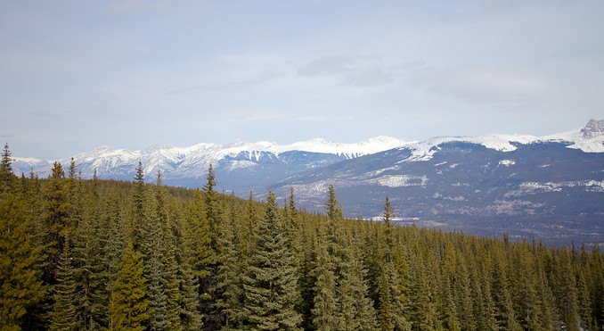 Marmot Basin