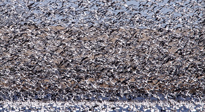 Image courtesy of Tourism Saskatchewan/Devona Hill Photography&nbsp;