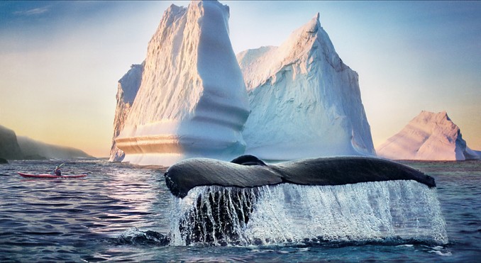 Newfoundland and Labrador