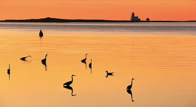 Image courtesy of Tourism PEI / John Sylvester