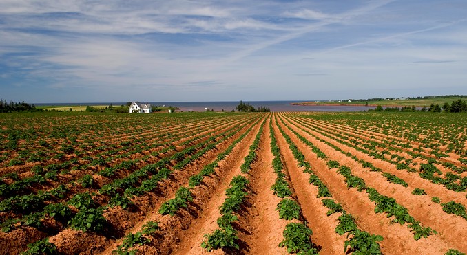Prince Edward Island