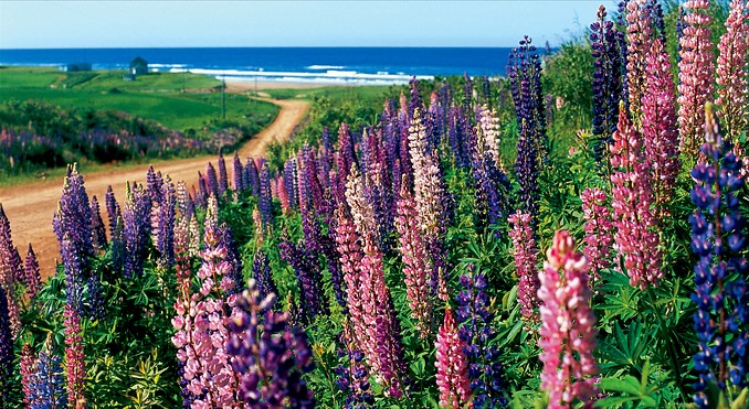 Prince Edward Island
