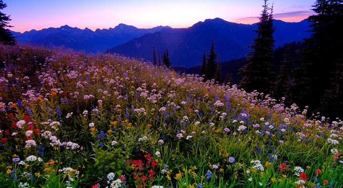 Rocky Mountains