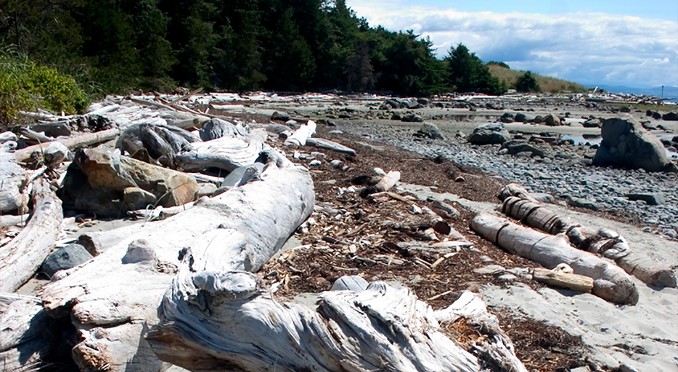 Image courtesy of Tourism BC/Dannielle Hayes