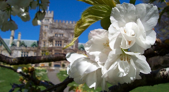 Image courtesy of Tourism Victoria